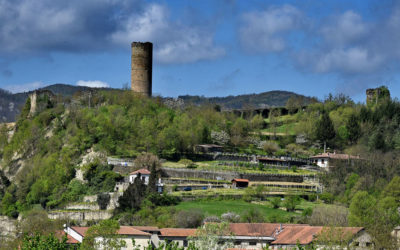 Il centro del mondo si trova a Cortemilia, a due passi dal nostro caseificio