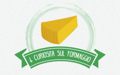 6 curiosità sul formaggio